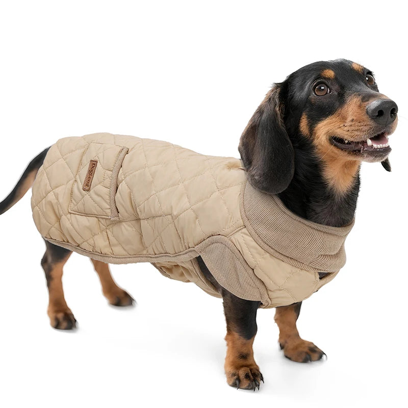 Chaqueta Térmica Urban Dachshund