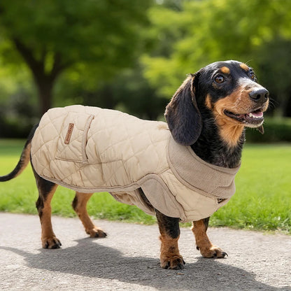 Chaqueta Térmica Urban Dachshund