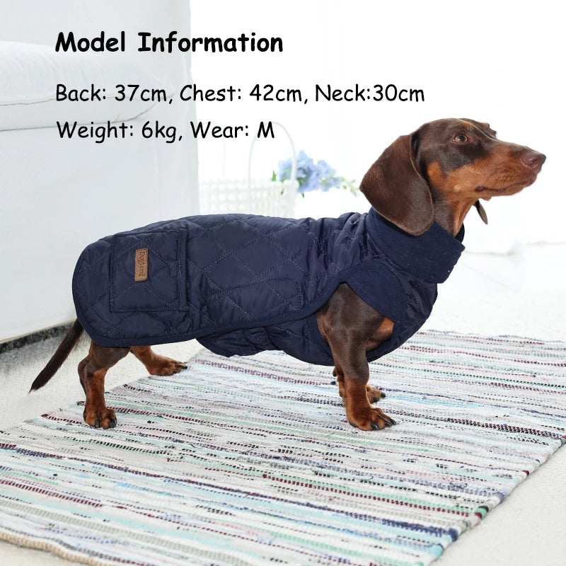 Chaqueta Térmica Urban Dachshund