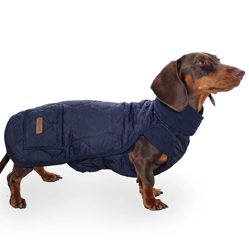 Chaqueta Térmica Urban Dachshund