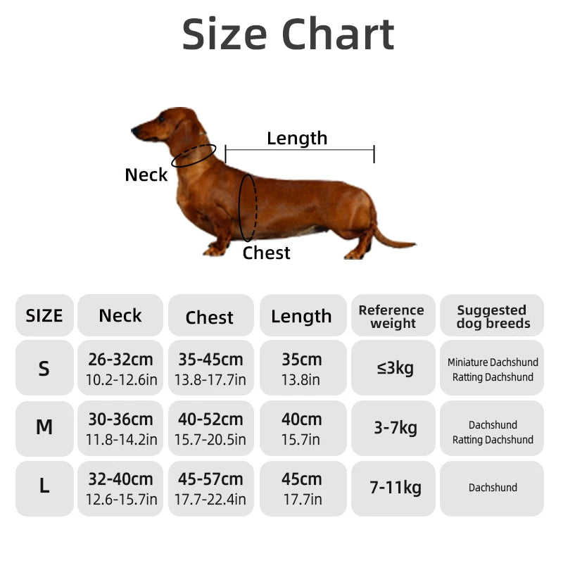 Chaqueta Térmica Urban Dachshund